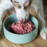 Wholehearted Active Performance Dog Food - Complete Guide