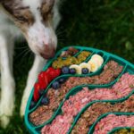 Essentials Working Dog Food: 7 Proven Tips to Avoid Costly Mistakes