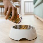 Joint and Mobility Dog Food: 7 Proven Ways to Avoid Painful Mistakes for Working Dogs