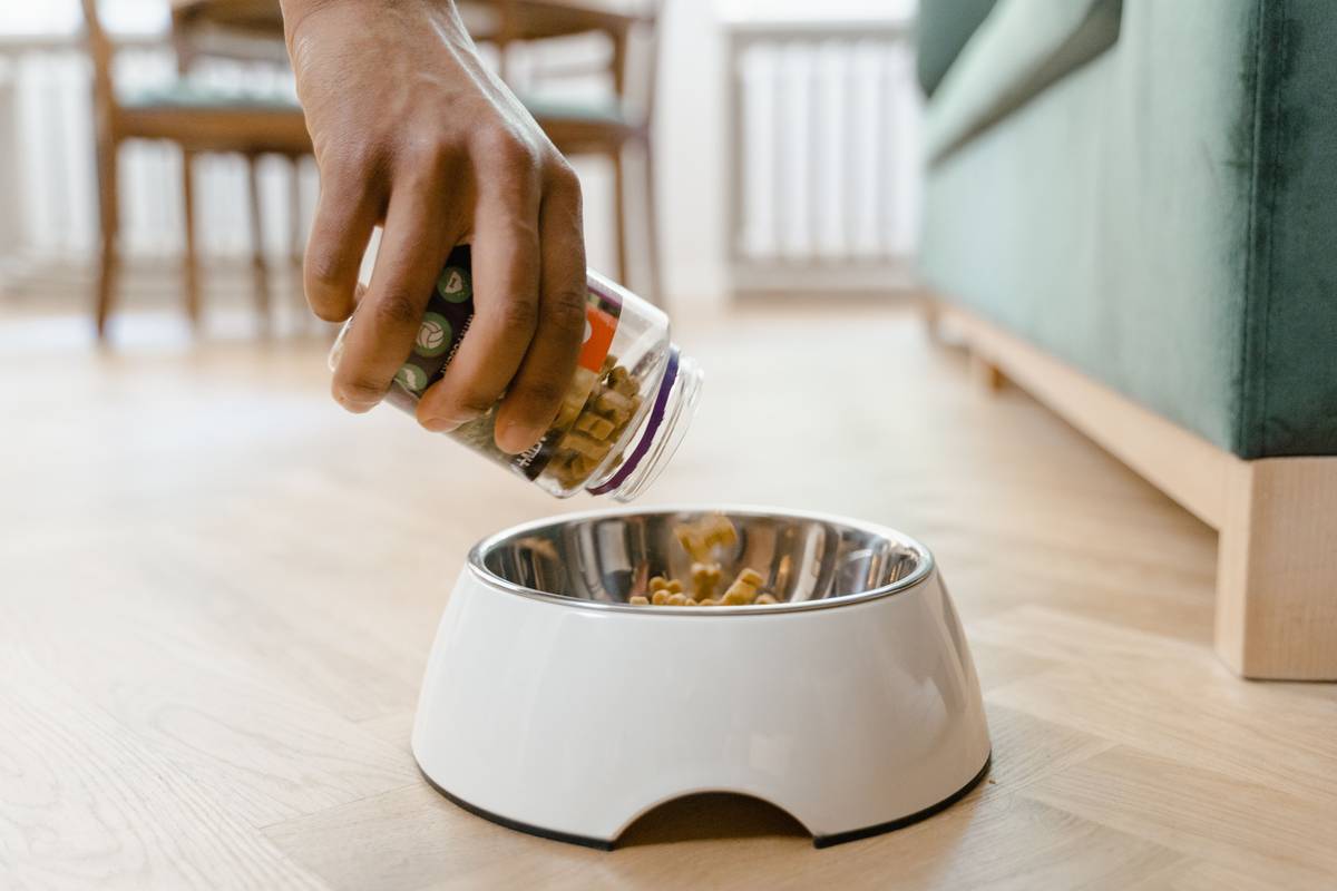 Joint and Mobility Dog Food: 7 Proven Ways to Avoid Painful Mistakes for Working Dogs