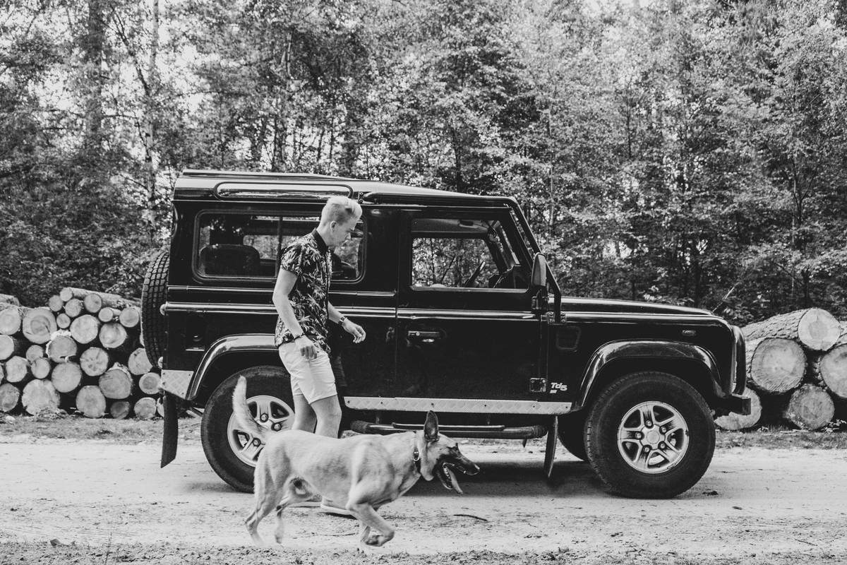 Joint Care Dog Food: 7 Proven Tips to Avoid Costly Mistakes