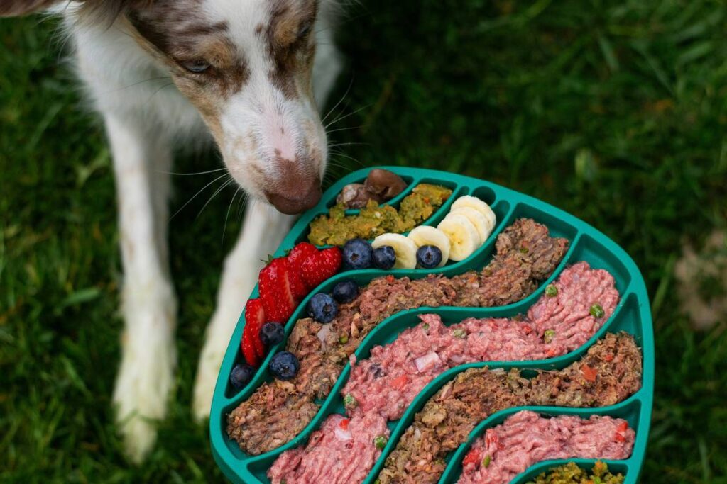 Joint Support Working Dog Can Non: 7 Proven Tips to Avoid Costly Mistakes