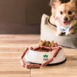 Weight and Joint Dog Food: 7 Proven Tips to Avoid Painful Mistakes