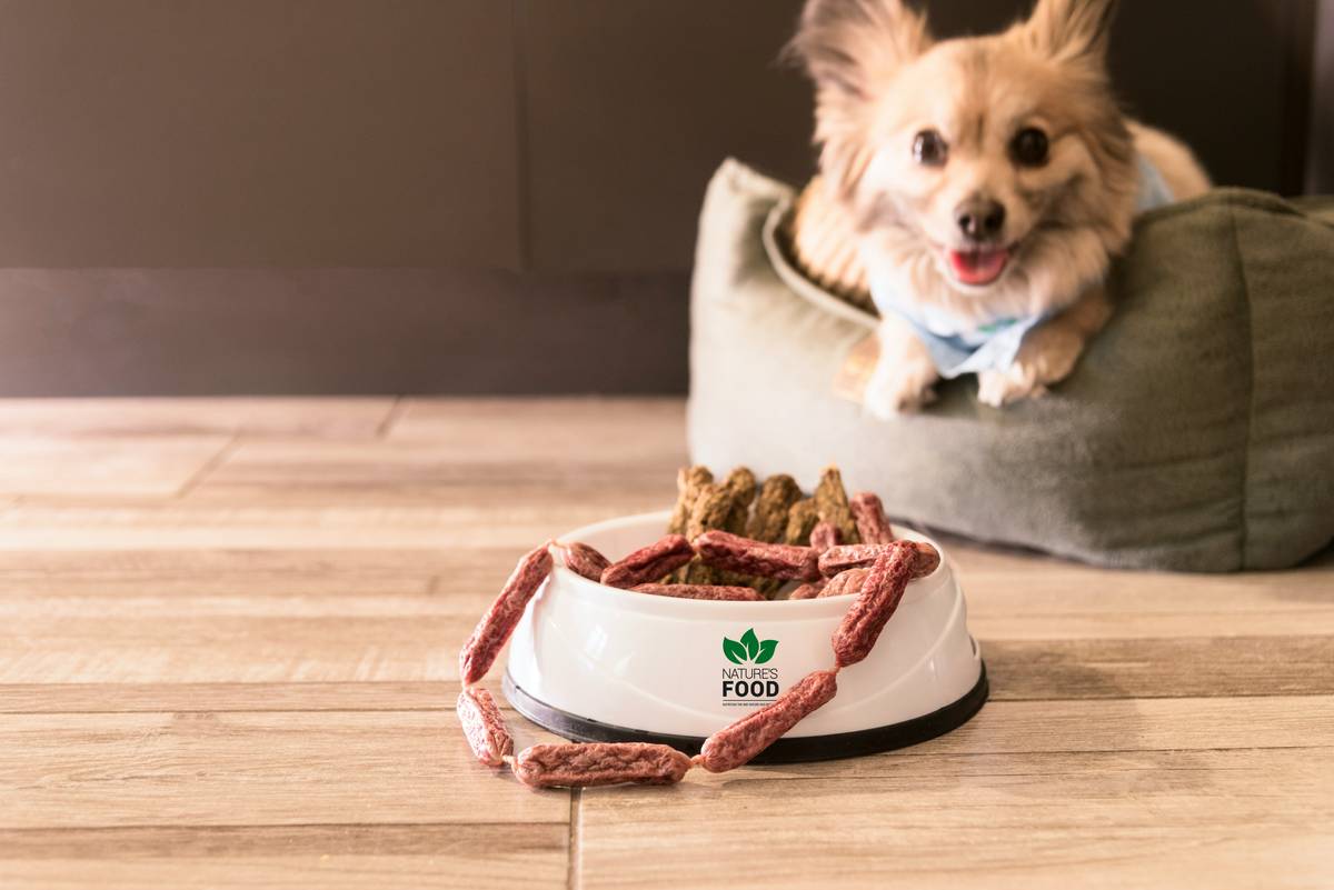 Weight and Joint Dog Food: 7 Proven Tips to Avoid Painful Mistakes